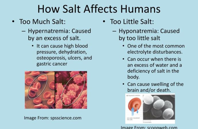 The Silent Threat of Excessive Salt Intake: Unveiling Health Risks Beyond Flavor