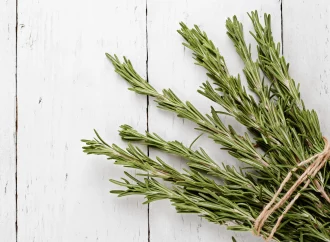 Rosemary Revival: Debunking the Hype Around DIY Hair Elixirs for Shine and Growth