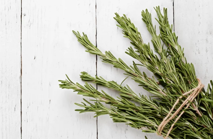 Rosemary Revival: Debunking the Hype Around DIY Hair Elixirs for Shine and Growth