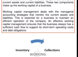 Harvesting Success, The Best Farm Accounting Tools of 2023