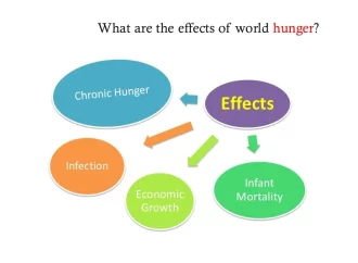 Impacts of Hunger: Health, Education, and the Economy