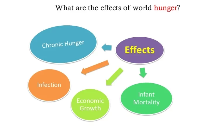 Impacts of Hunger: Health, Education, and the Economy