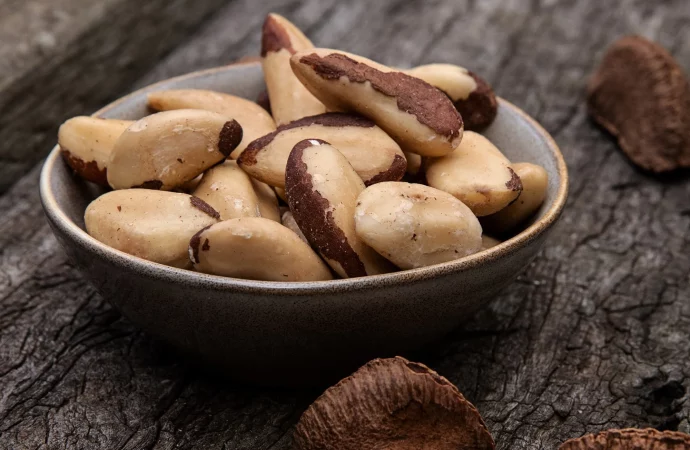 Nutrient Riches: Unveiling the Health Bounty of Brazil Nuts with Dr. Rhonda Patrick