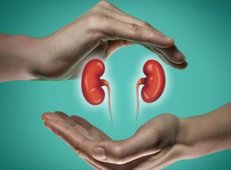 Unlocking the Enigma of Renal Science: Unveiling the Intricacies of Kidney Function
