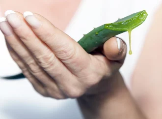 Wound Wonders: Rosemary Gladstar Unveils the Power of Aloe and Protein for Rapid Healing at Home