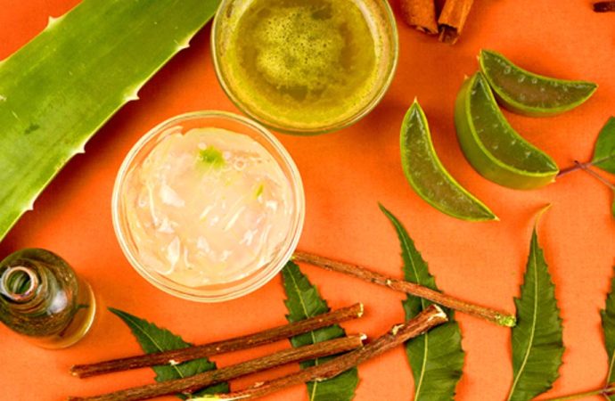 Face Pack Magic: David Winston’s Aloe Vera and Neem Duo for Radiant and Glorious Skin!