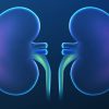 Unveiling Kidney Health: Science’s Impact on Understanding, Treatment, and Prevention