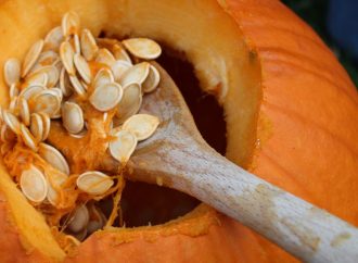 Hair’s Best Friend: Unveiling the Secrets of Pumpkin Seeds in Your Growth Routine by David Winston