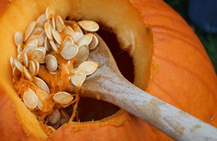 Hair’s Best Friend: Unveiling the Secrets of Pumpkin Seeds in Your Growth Routine by David Winston