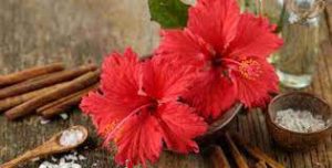 Hibiscus hair benefits