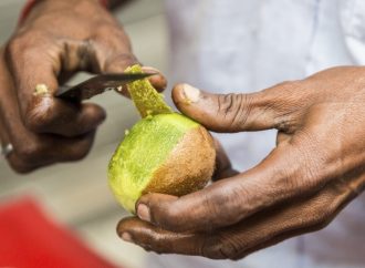 Seasonal Glow-Up: Aviva Romm Unveils the Magic of Fruit Peels for Radiant Skin this Festive Season