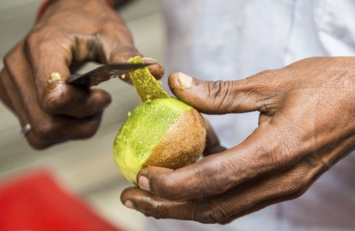 Seasonal Glow-Up: Aviva Romm Unveils the Magic of Fruit Peels for Radiant Skin this Festive Season