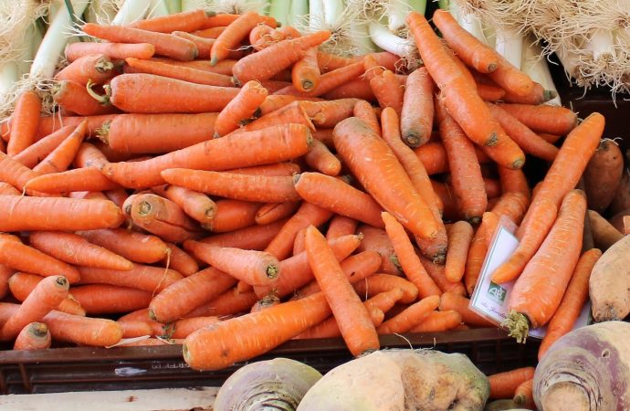 Mastering the Art of Crafting a Cozy Winter Vegetable