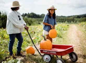 Epicurean Enigma Decoding the Dual Essence of Pumpkins