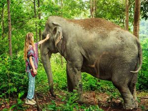  Wildlife Wonders: Close Encounters in Phuket