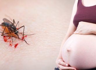 Reducing Malaria In Pregnant Women living With HIV