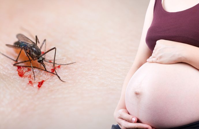 Reducing Malaria In Pregnant Women living With HIV