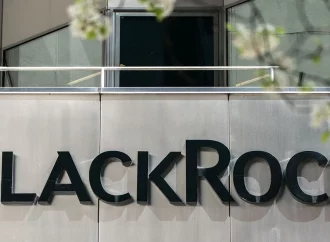 BlackRock Emphasize Financial Strength Over ESG in Company Call