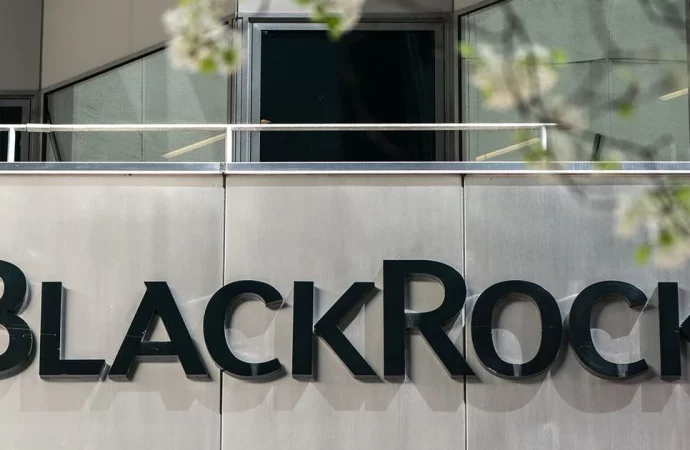 BlackRock Emphasize Financial Strength Over ESG in Company Call