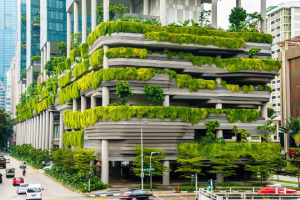 Green Living in the City