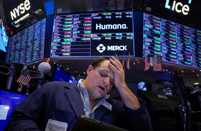 Humana stock forecast 2024