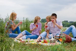 Logistics of a Parisian Picnic