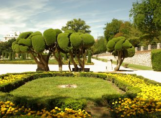 Madrid’s Green Oasis Unveiling Enchanting Parks for Nature