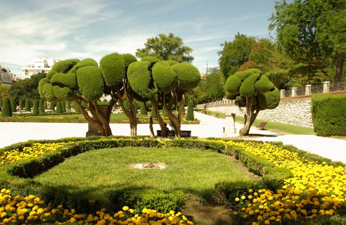 Madrid’s Green Oasis Unveiling Enchanting Parks for Nature