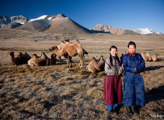 Unveiling Mongolia’s Majesty a Visual Journey into Endless