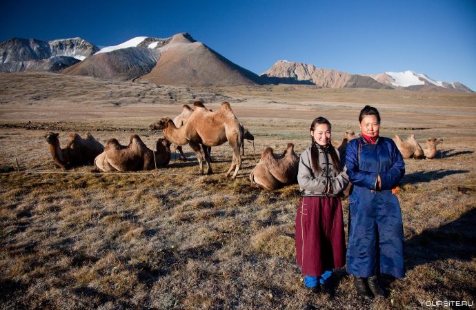 Unveiling Mongolia’s Majesty a Visual Journey into Endless