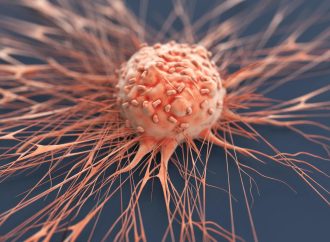 What Are The Main Types of Cancer?