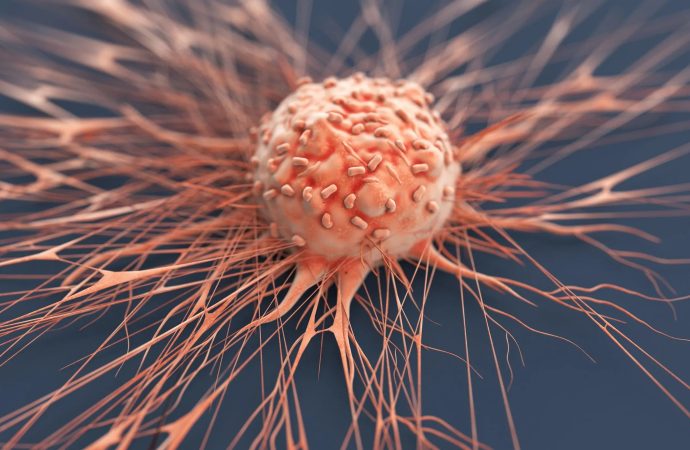 What Are The Main Types of Cancer?