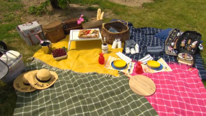Picnic Planning Mastery: From Blankets to Bites