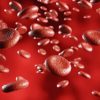 All About Hemoglobin: Important Facts and Functions