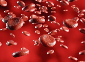 All About Hemoglobin: Important Facts and Functions