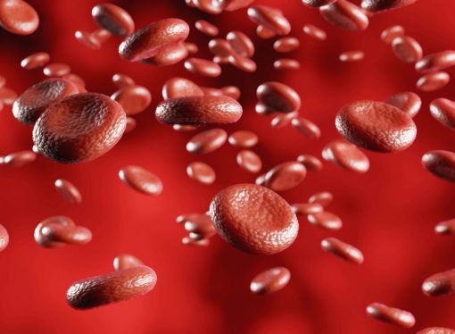 All About Hemoglobin: Important Facts and Functions
