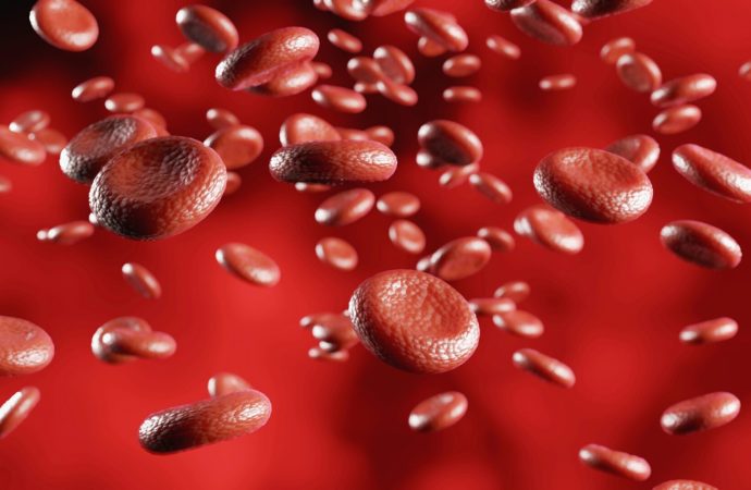 All About Hemoglobin: Important Facts and Functions