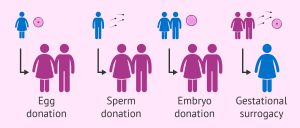 Assisted Reproductive Technology