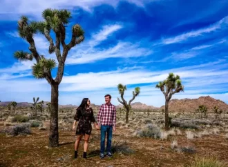 Unveiling the Allure of Joshua Tree A Lifestyle Enthusiast’s Guide