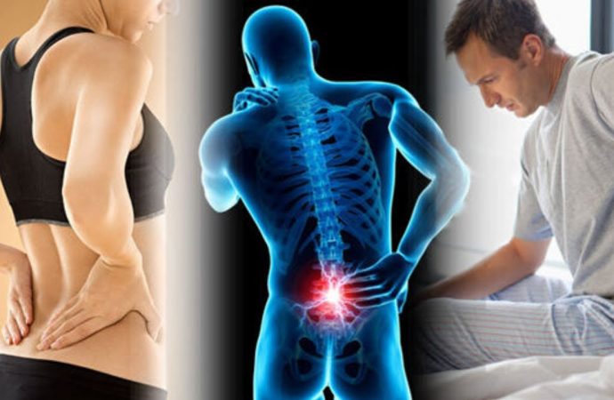 Manage Your Back: Tips to Stop and Prevent Pain