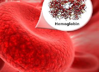 All About Hemoglobin ( Important Facts)