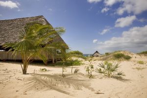 Discover Lamu Top 6 Must-Do Activities