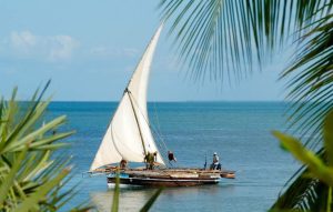 Lamu's Top Six Attractions Island Euphoria Adventures