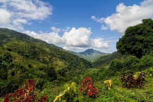 Discovering Paradise A Deep Dive into Jamaica's Natural Wonders