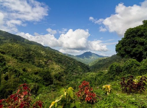 Discovering Paradise A Deep Dive into Jamaica’s Natural Wonders