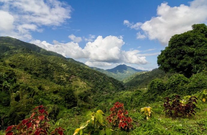 Discovering Paradise A Deep Dive into Jamaica’s Natural Wonders