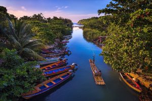 Discovering Paradise A Deep Dive into Jamaica's Natural Wonders