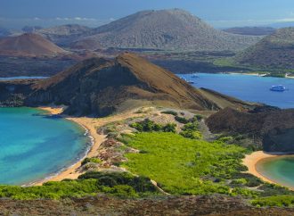 Ecuador’s Splendors Perfect Vacation from Andes to Amazon