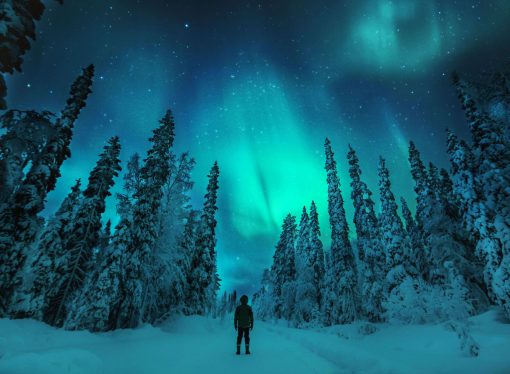 Frozen Hearts Moments Romance Valentine’s Day in Lapland