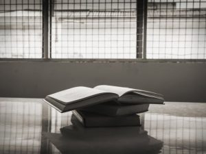  The Evolving Landscape of Prison Education 2024